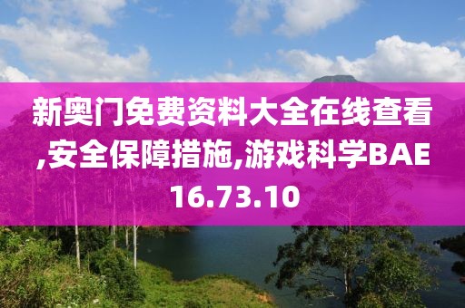 新奥门免费资料大全在线查看,安全保障措施,游戏科学BAE16.73.10