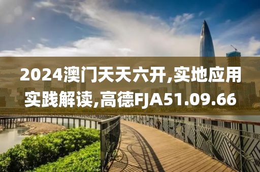 2024澳门天天六开,实地应用实践解读,高德FJA51.09.66