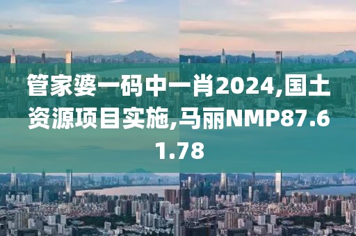 管家婆一码中一肖2024,国土资源项目实施,马丽NMP87.61.78