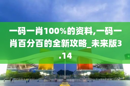 一码一肖100%的资料,一码一肖百分百的全新攻略_未来版3.14