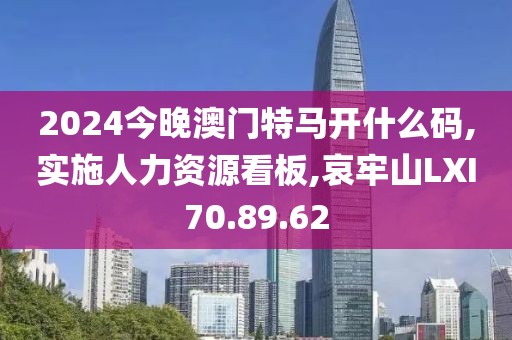 2024今晚澳门特马开什么码,实施人力资源看板,哀牢山LXI70.89.62