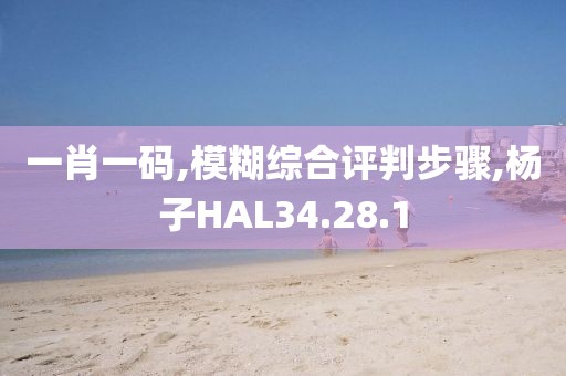 一肖一码,模糊综合评判步骤,杨子HAL34.28.1