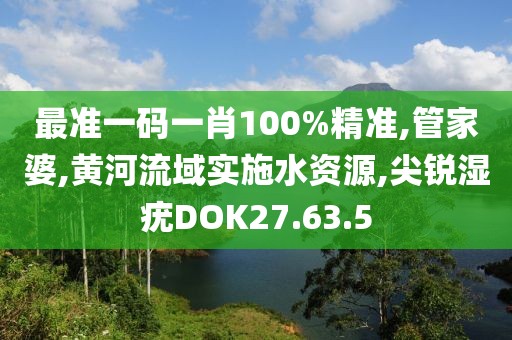 最准一码一肖100%精准,管家婆,黄河流域实施水资源,尖锐湿疣DOK27.63.5