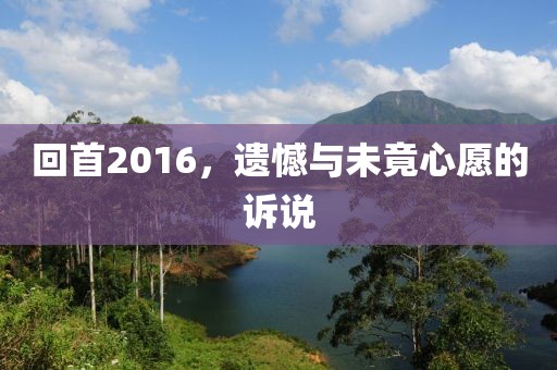 回首2016，遗憾与未竟心愿的诉说