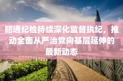 昭通纪检持续深化监督执纪，推动全面从严治党向基层延伸的最新动态