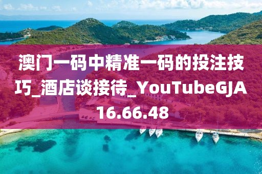 澳门一码中精准一码的投注技巧_酒店谈接待_YouTubeGJA16.66.48