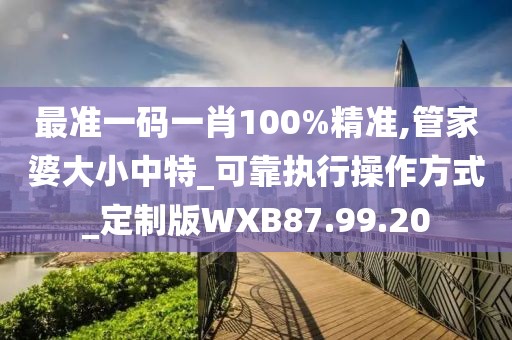 最准一码一肖100%精准,管家婆大小中特_可靠执行操作方式_定制版WXB87.99.20