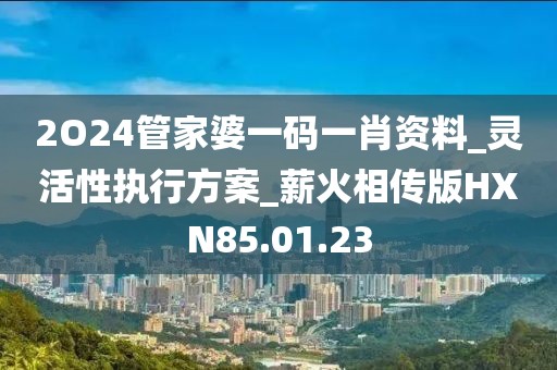 2O24管家婆一码一肖资料_灵活性执行方案_薪火相传版HXN85.01.23