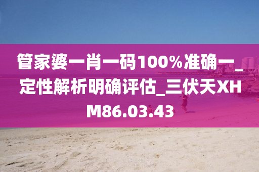 管家婆一肖一码100%准确一_定性解析明确评估_三伏天XHM86.03.43