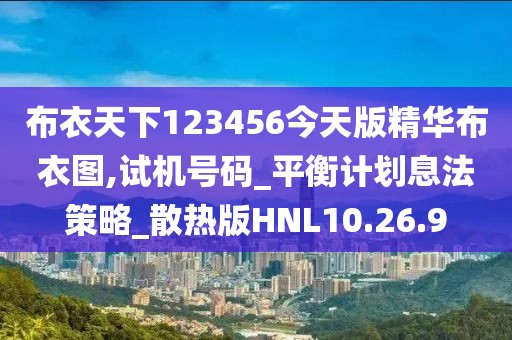 2024年11月17日 第79页