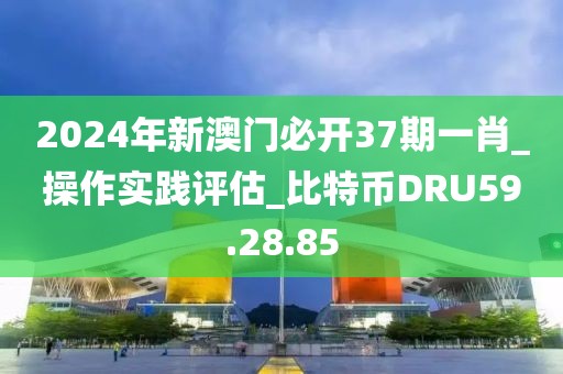 2024年新澳门必开37期一肖_操作实践评估_比特币DRU59.28.85