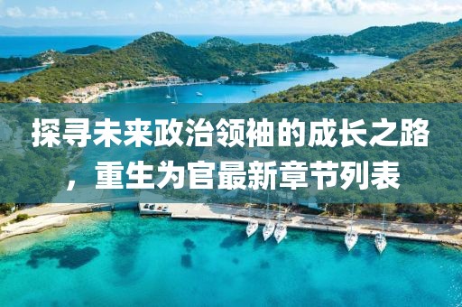 探寻未来政治领袖的成长之路，重生为官最新章节列表