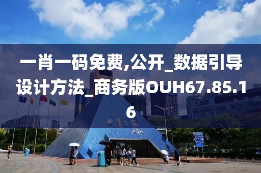 一肖一码免费,公开_数据引导设计方法_商务版OUH67.85.16