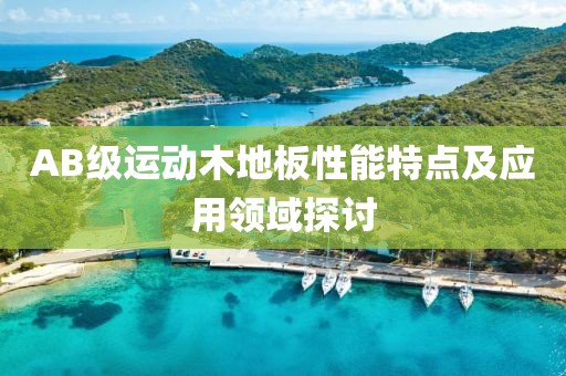 AB级运动木地板性能特点及应用领域探讨