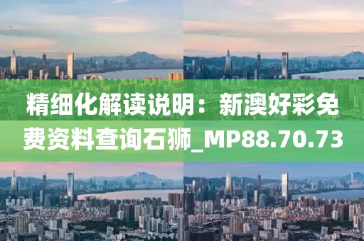 精细化解读说明：新澳好彩免费资料查询石狮_MP88.70.73