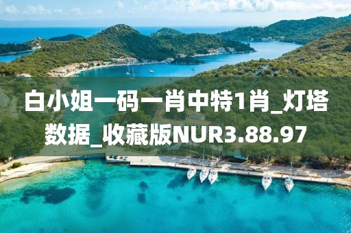 白小姐一码一肖中特1肖_灯塔数据_收藏版NUR3.88.97