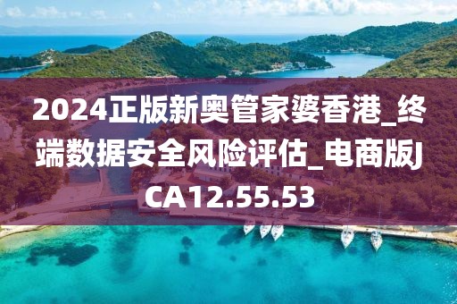 2024正版新奥管家婆香港_终端数据安全风险评估_电商版JCA12.55.53