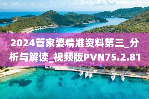 2024管家婆精准资料第三_分析与解读_视频版PVN75.2.81