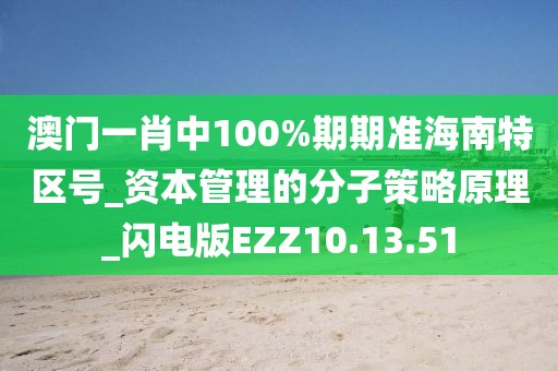 澳门一肖中100%期期准海南特区号_资本管理的分子策略原理_闪电版EZZ10.13.51