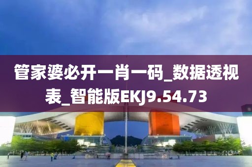 管家婆必开一肖一码_数据透视表_智能版EKJ9.54.73