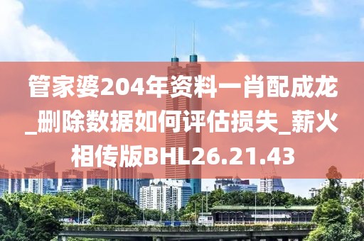 管家婆204年资料一肖配成龙_删除数据如何评估损失_薪火相传版BHL26.21.43