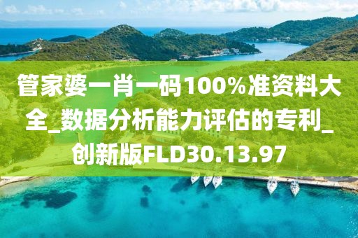 管家婆一肖一码100%准资料大全_数据分析能力评估的专利_创新版FLD30.13.97