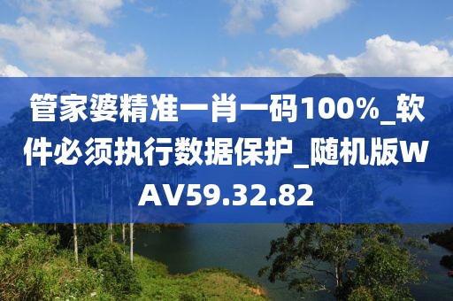 管家婆精准一肖一码100%_软件必须执行数据保护_随机版WAV59.32.82