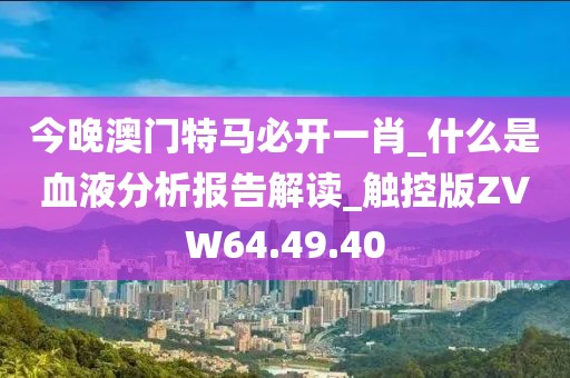 今晚澳门特马必开一肖_什么是血液分析报告解读_触控版ZVW64.49.40