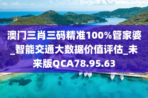 澳门三肖三码精准100%管家婆_智能交通大数据价值评估_未来版QCA78.95.63