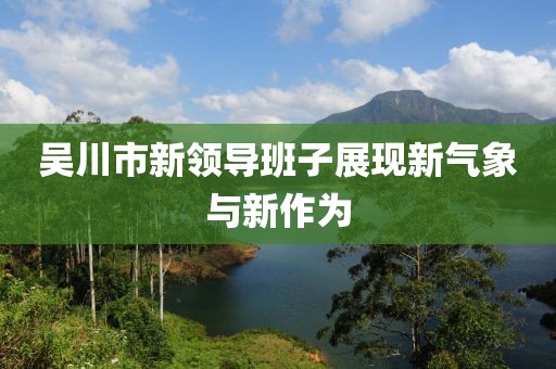 吴川市新领导班子展现新气象与新作为