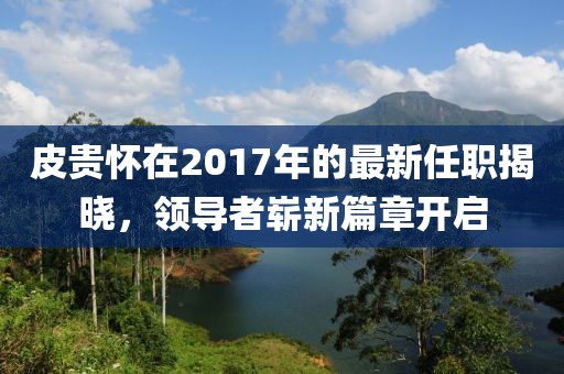 皮贵怀在2017年的最新任职揭晓，领导者崭新篇章开启