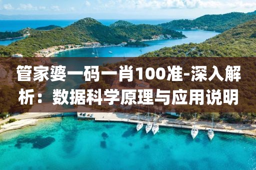 管家婆一码一肖100准-深入解析：数据科学原理与应用说明