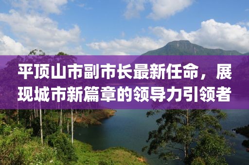 平顶山市副市长最新任命，展现城市新篇章的领导力引领者