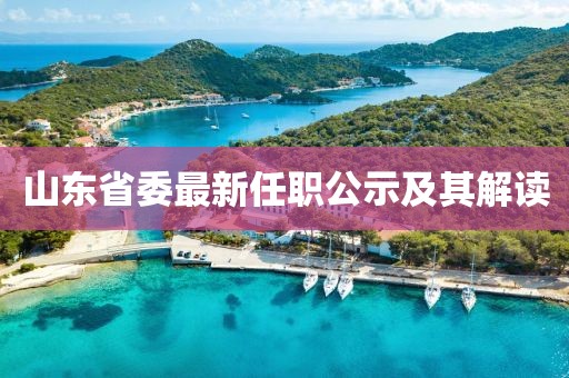 山东省委最新任职公示及其解读