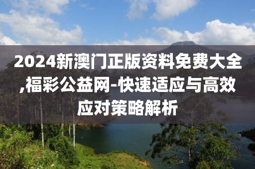 2024新澳门正版资料免费大全,福彩公益网-快速适应与高效应对策略解析