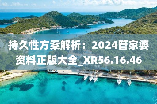 持久性方案解析：2024管家婆资料正版大全_XR56.16.46