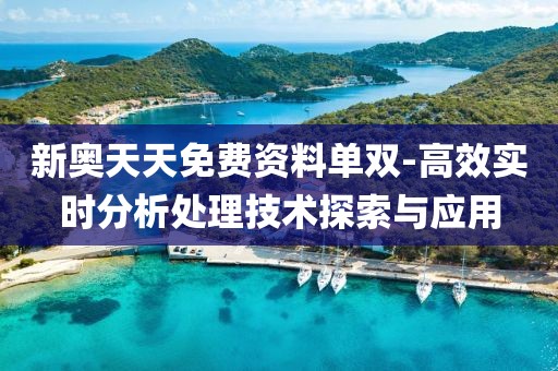 新奥天天免费资料单双-高效实时分析处理技术探索与应用