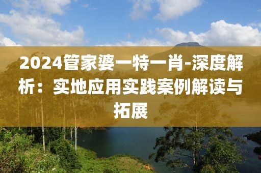 2024管家婆一特一肖-深度解析：实地应用实践案例解读与拓展