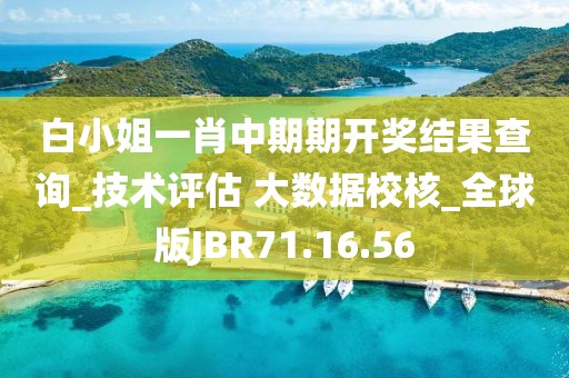 白小姐一肖中期期开奖结果查询_技术评估 大数据校核_全球版JBR71.16.56