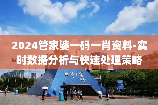 2024管家婆一码一肖资料-实时数据分析与快速处理策略