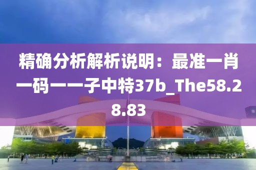 精确分析解析说明：最准一肖一码一一子中特37b_The58.28.83