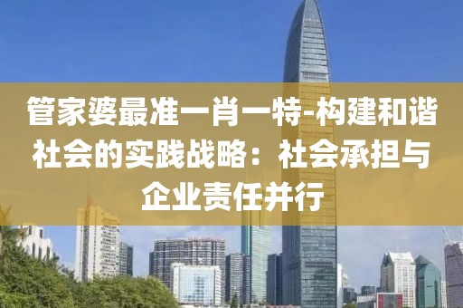 管家婆最准一肖一特-构建和谐社会的实践战略：社会承担与企业责任并行