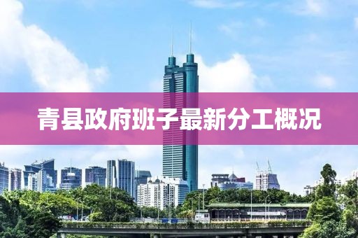 青县政府班子最新分工概况