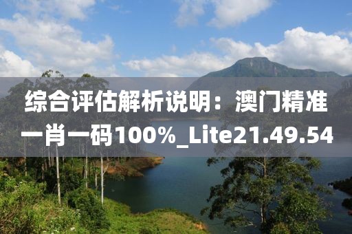 综合评估解析说明：澳门精准一肖一码100%_Lite21.49.54