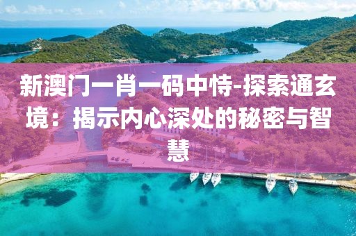 新澳门一肖一码中恃-探索通玄境：揭示内心深处的秘密与智慧