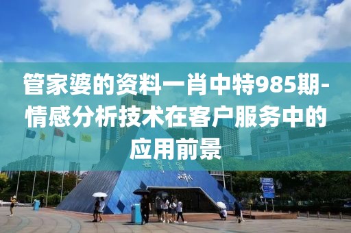 管家婆的资料一肖中特985期-情感分析技术在客户服务中的应用前景