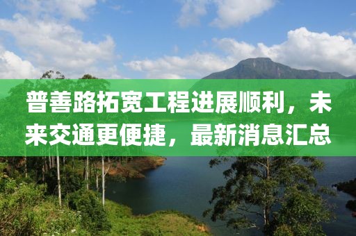 普善路拓宽工程进展顺利，未来交通更便捷，最新消息汇总