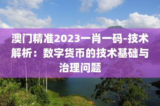 澳门精准2023一肖一码-技术解析：数字货币的技术基础与治理问题