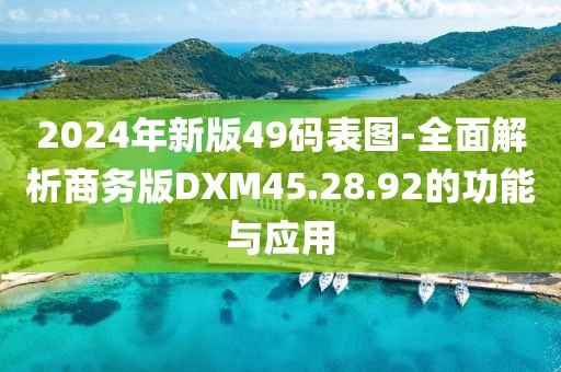 2024年新版49码表图-全面解析商务版DXM45.28.92的功能与应用