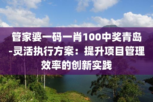 管家婆一码一肖100中奖青岛-灵活执行方案：提升项目管理效率的创新实践